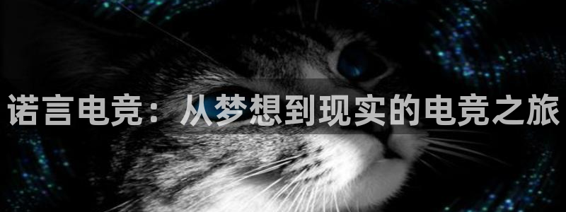 一竞技官网地址：诺言电竞：从梦想到现实的电竞之旅
