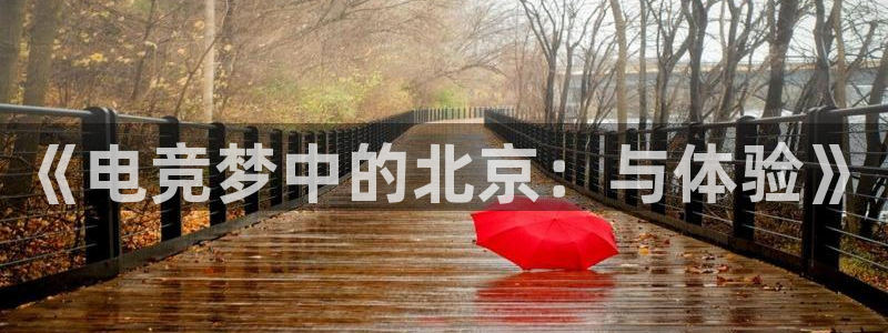 一竞技app下载：《电竞梦中的北京：与体验》
