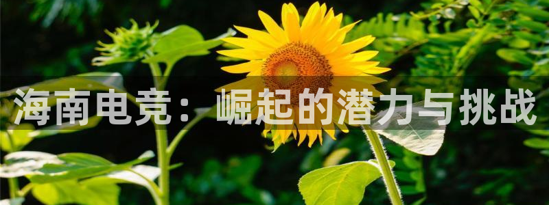 一竞技平台：海南电竞：崛起的潜力与挑战