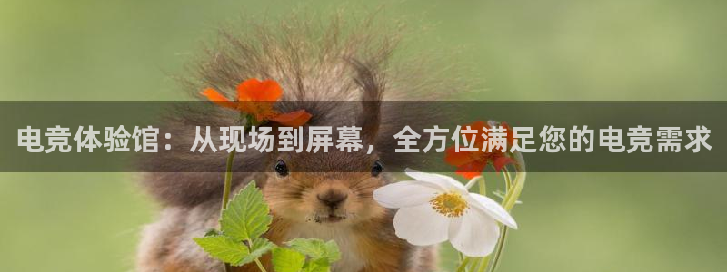 一竞技app下载安装：电竞体验馆：从现场到屏幕，全方位满足您的电竞需求