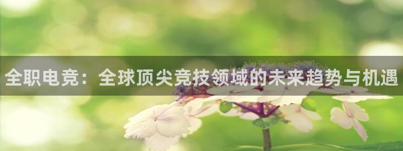 一竞技网址