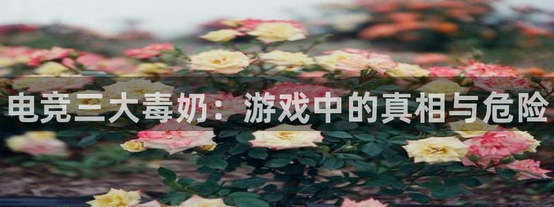 一竞技平台