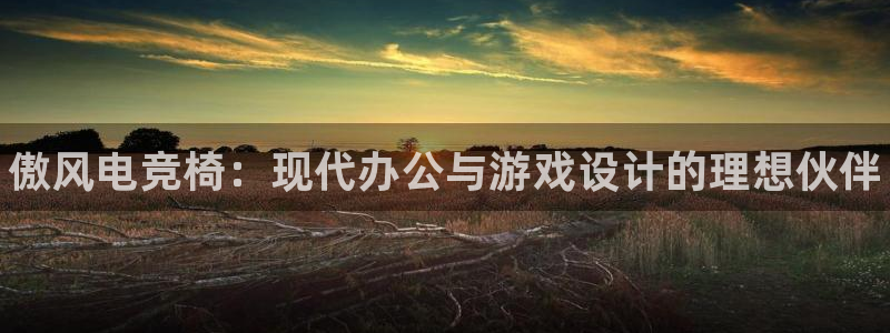 一竞技app下载安装：傲风电竞椅：现代办公与游戏设计的理想伙伴