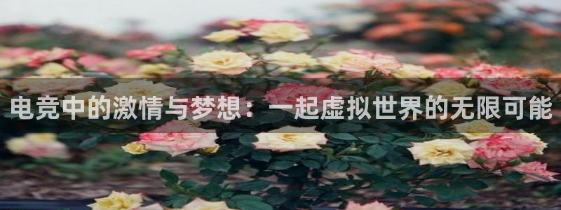 一竞技官网地址：电竞中的激情与梦想：一起虚拟世界的无限可能
