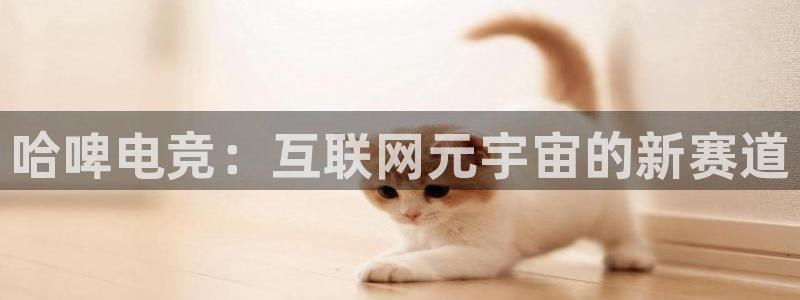 一竞技网址