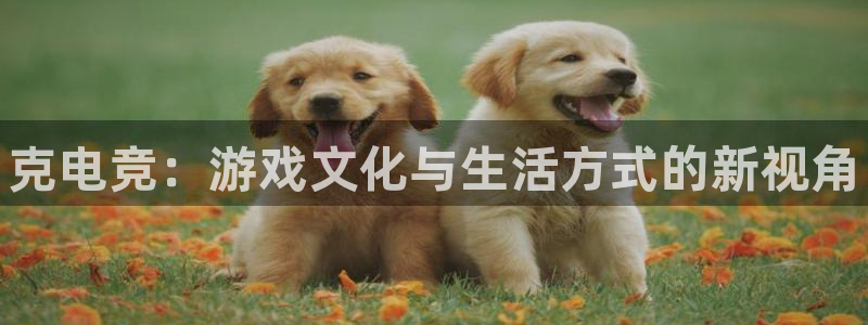 一竞技app