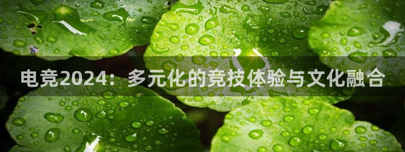 一竞技