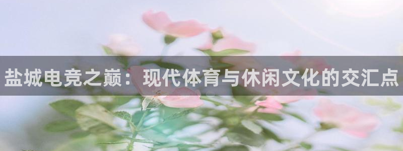 一竞技官网：盐城电竞之巅：现代体育与休闲文化的交汇点