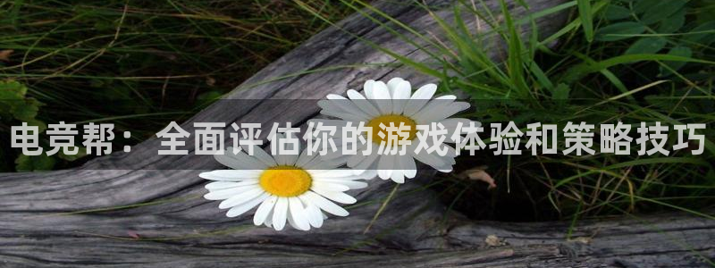 一竞技官网地址：电竞帮：全面评估你的游戏体验和策略技巧
