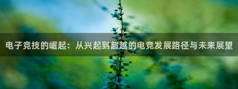 一竞技平台
