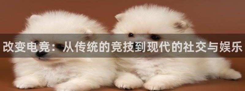 一竞技平台：改变电竞：从传统的竞技到现代的社交与娱乐