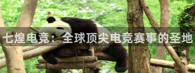 一竞技：七煌电竞：全球顶尖电竞赛事的圣地