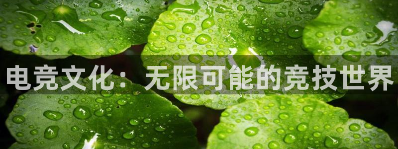 一竞技官网地址：电竞文化：无限可能的竞技世界