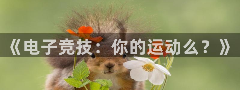 一竞技官网下载：《电子竞技：你的运动么？》