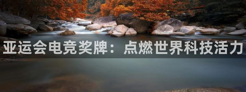 一竞技官网：亚运会电竞奖牌：点燃世界科技活力