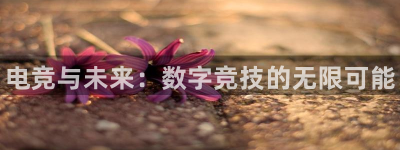 一竞技官网：电竞与未来：数字竞技的无限可能