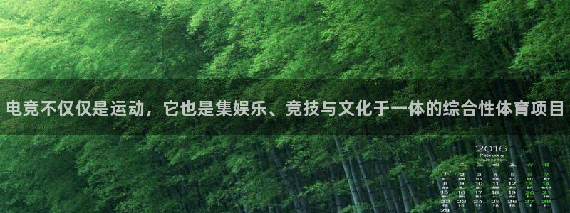 一竞技官网：电竞不仅仅是运动，它也是集娱乐、竞技与文化于一体的综合性体育项目