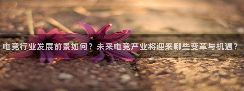 一竞技官网：电竞行业发展前景如何？未来电竞产业将迎来哪些变革与机遇？