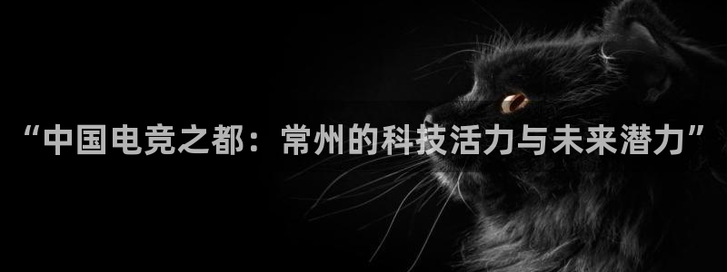 一竞技官网：“中国电竞之都：常州的科技活力与未来潜力”