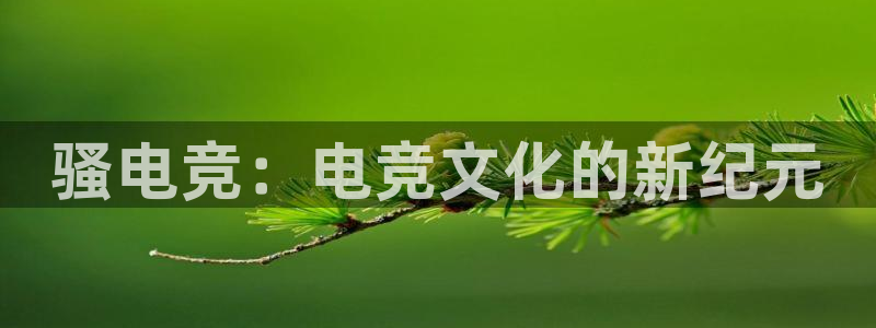 一竞技官网：骚电竞：电竞文化的新纪元