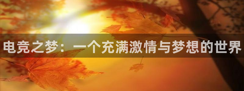 一竞技官网下载：电竞之梦：一个充满激情与梦想的世界