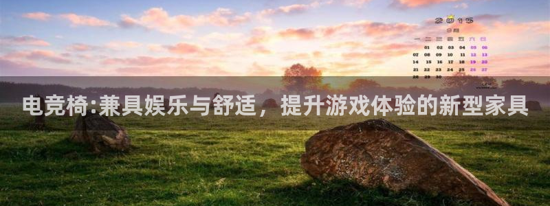 一竞技官网下载：电竞椅:兼具娱乐与舒适，提升游戏体验的新型家具