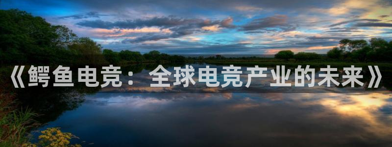 一竞技平台：《鳄鱼电竞：全球电竞产业的未来》