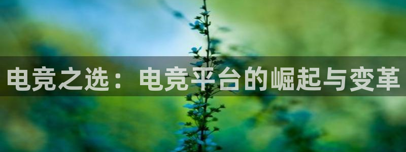 一竞技平台：电竞之选：电竞平台的崛起与变革