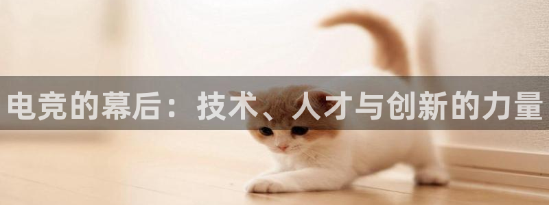 一竞技官网下载：电竞的幕后：技术、人才与创新的力量