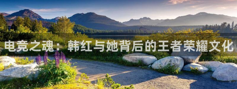 一竞技：电竞之魂：韩红与她背后的王者荣耀文化