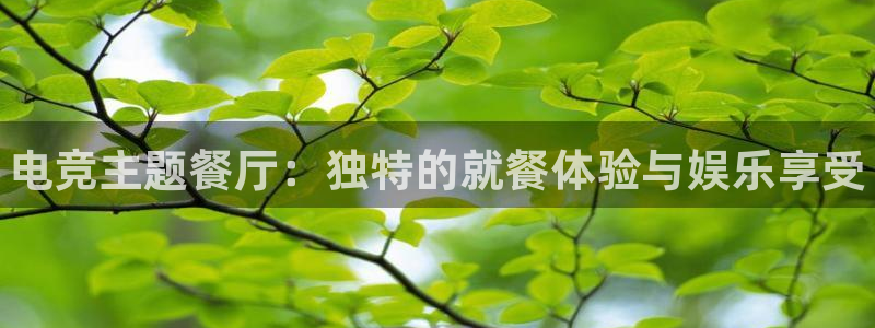 一竞技平台：电竞主题餐厅：独特的就餐体验与娱乐享受
