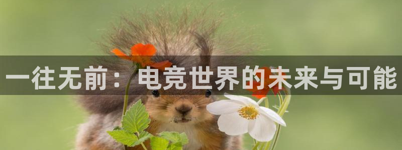 一竞技平台：一往无前：电竞世界的未来与可能