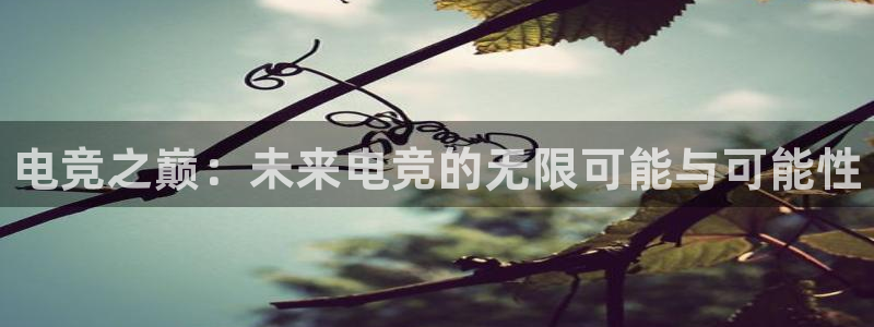 一竞技app下载：电竞之巅：未来电竞的无限可能与可能性