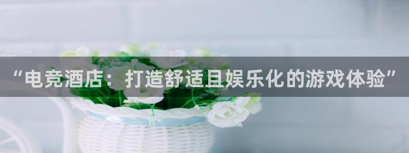 一竞技：“电竞酒店：打造舒适且娱乐化的游戏体验”