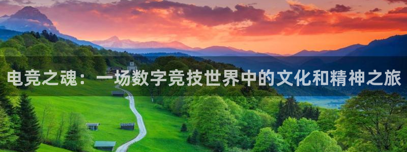 一竞技官网：电竞之魂：一场数字竞技世界中的文化和精神之旅