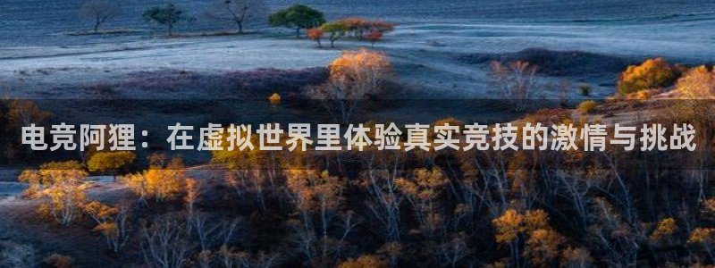 一竞技网址：电竞阿狸：在虚拟世界里体验真实竞技的激情与挑战
