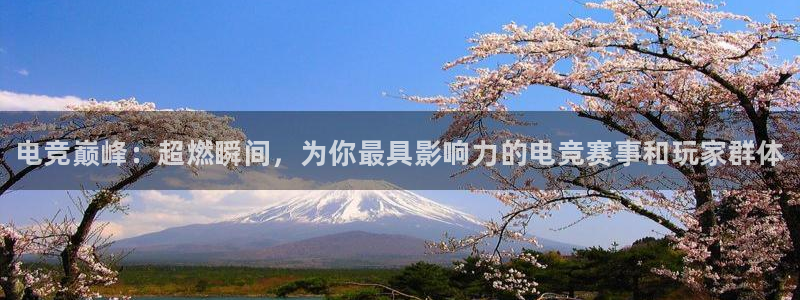 一竞技app下载安装：电竞巅峰：超燃瞬间，为你最具影响力的电竞赛事和玩家群体
