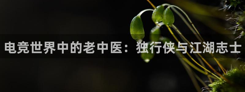 一竞技平台：电竞世界中的老中医：独行侠与江湖志士