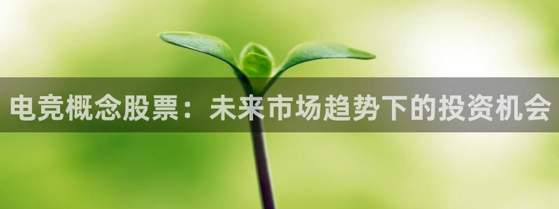 一竞技官网：电竞概念股票：未来市场趋势下的投资机会