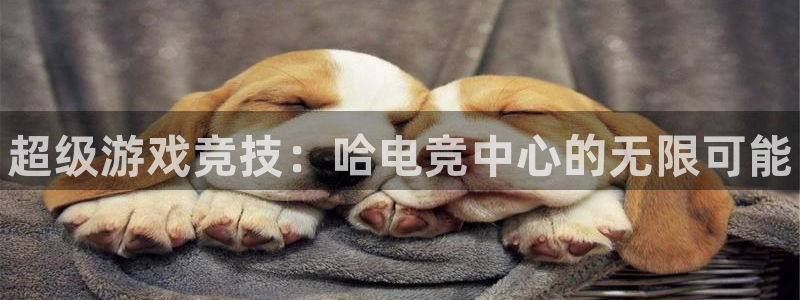 一竞技平台：超级游戏竞技：哈电竞中心的无限可能