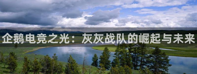 一竞技官网：企鹅电竞之光：灰灰战队的崛起与未来