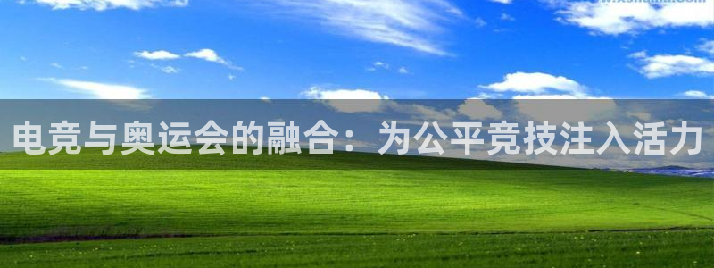一竞技app下载安装：电竞与奥运会的融合：为公平竞技注入活力