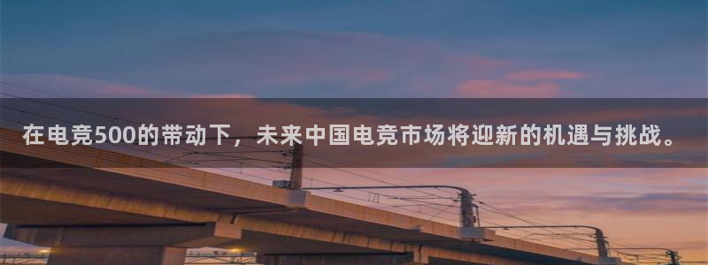 一竞技官网地址：在电竞500的带动下，未来中国电竞市场将迎新的机遇与挑战。