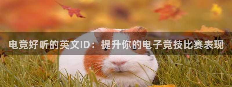 一竞技官网下载：电竞好听的英文ID：提升你的电子竞技比赛表现