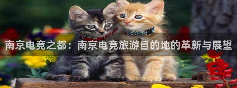 一竞技官网下载：南京电竞之都：南京电竞旅游目的地的革新与展望
