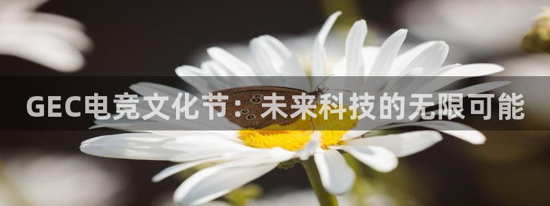 一竞技官网地址：GEC电竞文化节：未来科技的无限可能