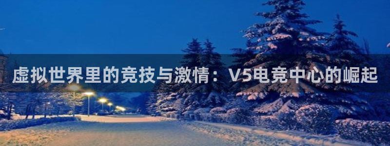 一竞技：虚拟世界里的竞技与激情：V5电竞中心的崛起