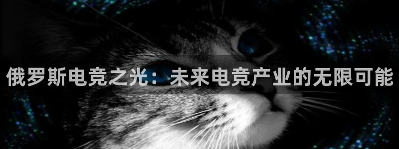 一竞技平台：俄罗斯电竞之光：未来电竞产业的无限可能
