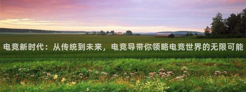 一竞技平台：电竞新时代：从传统到未来，电竞导带你领略电竞世界的无限可能