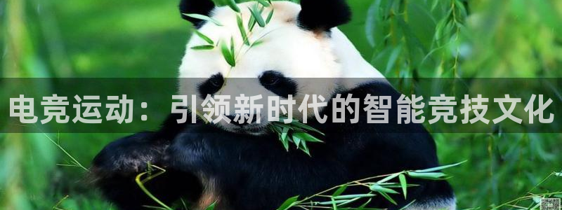 一竞技官网地址：电竞运动：引领新时代的智能竞技文化